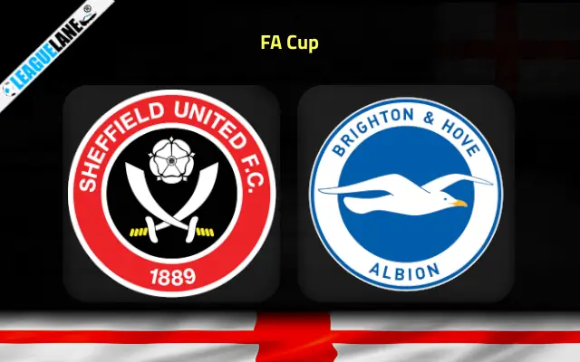 Sheffield United vs Brighton Prediction & Match Preview